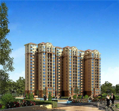 精典泰迪的奶茶铺