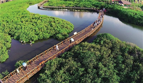 巡牛纪清汤黄牛肉火锅