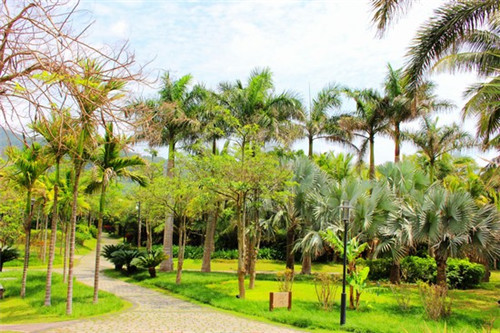 魏永风炒鸡炒虾尾