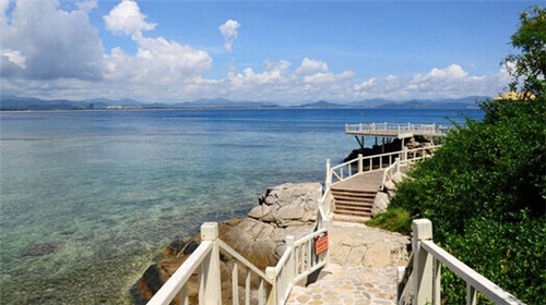 百世德咖啡火热中