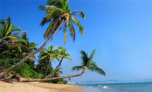 小吃什么品牌值得加盟创业，五谷香馍馍坊是哪家公司的