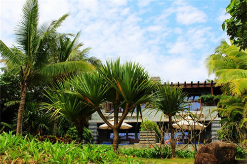 餐饮店怎么设计优惠活动，餐饮店怎么设计优惠