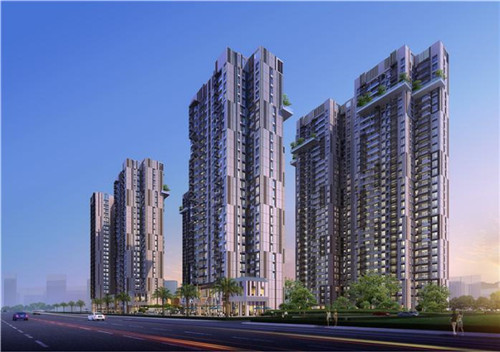 饼干加盟投资创业什么项目好