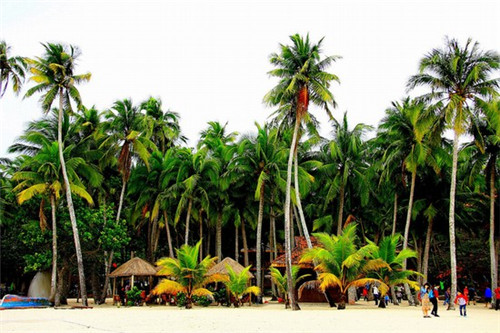 在海林市加盟佰佳旺快餐哪个地段客源多，海林市生意好的中式快餐店都有哪些