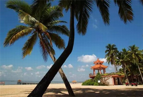 台湾菜家常做法（台湾菜谱大全做法）