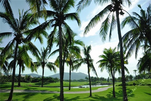 探店达人创业写进简历了吗