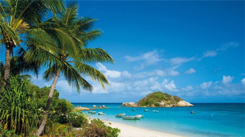 简历活动对接方案模板（简历活动主题）